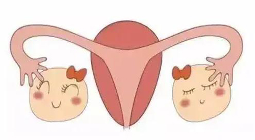 什么是输卵管上举？