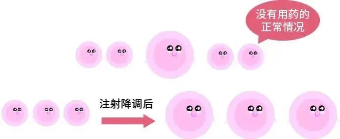 什么是试管婴儿“降调”？