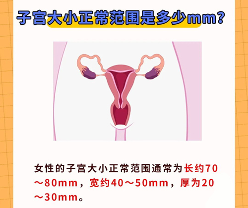 怎样的子宫内膜才是好的孕育“土壤”？