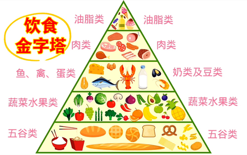 备孕期合理营养指南