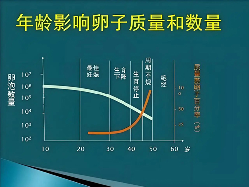 40岁，试管婴儿移植胚胎3次，她终于怀上了