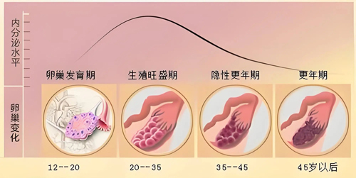 40岁，试管婴儿移植胚胎3次，她终于怀上了