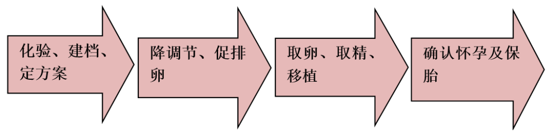 试管婴儿问答，准备试管的你必看！