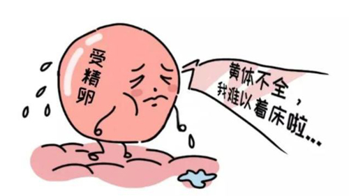 为什么人工授精后需要黄体支持？