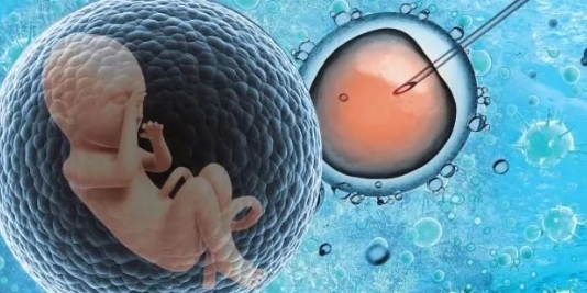 试管婴儿和自然怀孕，生下的小孩有区别吗？