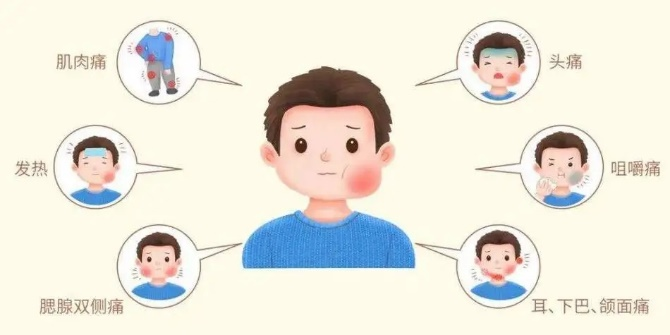 腮腺炎会导致男性不育，你知道吗？
