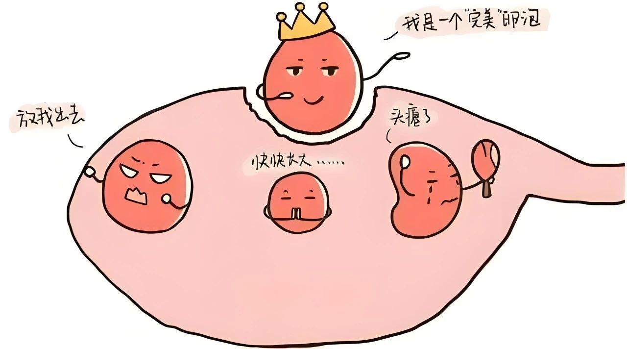 高龄女性试管备孕，需要这样做......