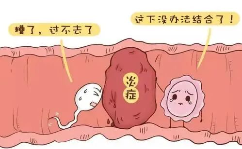 输卵管堵了原因有哪些？