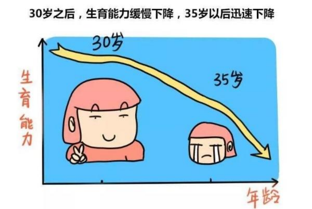 关于“试管宝宝”的三大误解